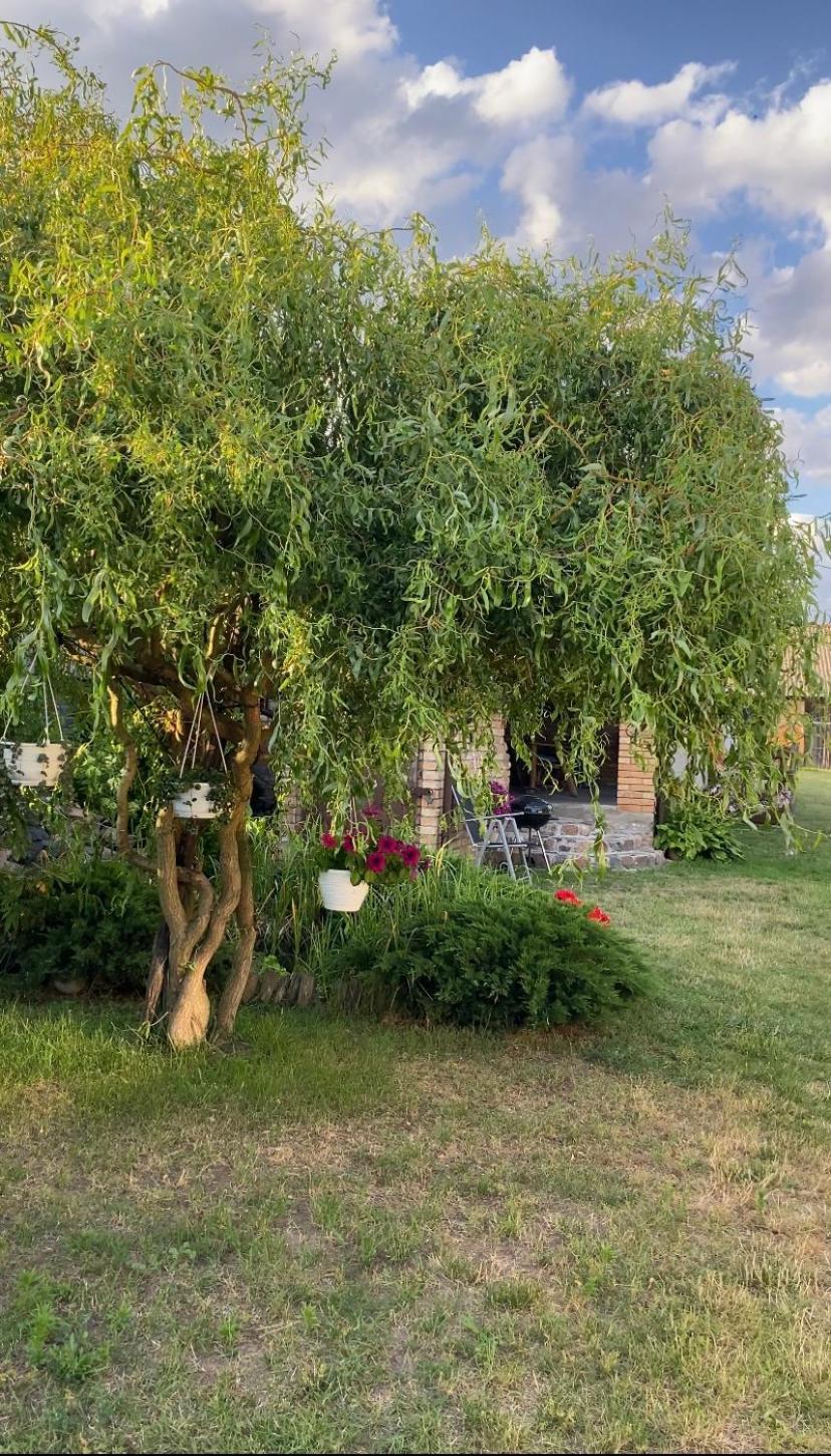 U Agi Apartamento Nowogród Exterior foto