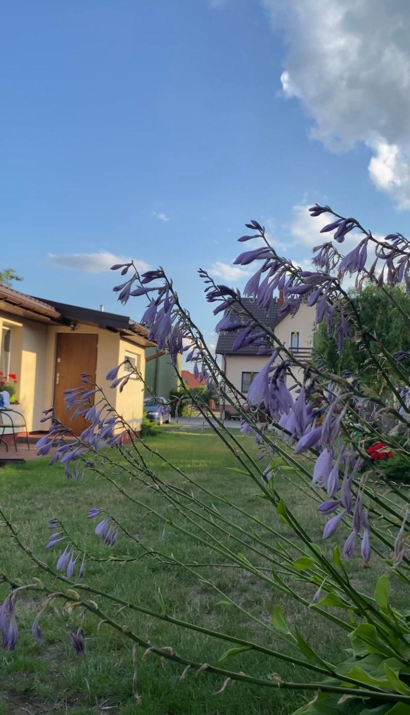 U Agi Apartamento Nowogród Exterior foto